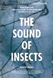 Odgłosy robaków - zapiski mumii